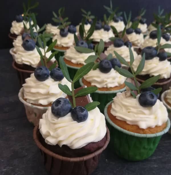 cupcake1